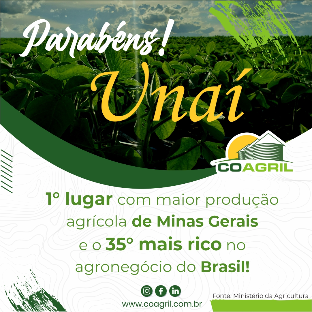 Leia mais sobre o artigo Unaí é o maior produtor de Minas Gerais e o 35° mais rico no agronegócio do Brasil